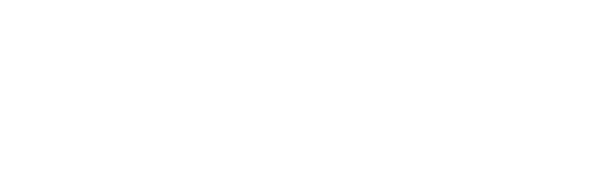 SondaIntel